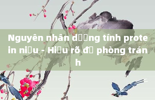 Nguyên nhân dương tính protein niệu - Hiểu rõ để phòng tránh