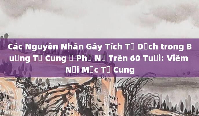Các Nguyên Nhân Gây Tích Tụ Dịch trong Buồng Tử Cung ở Phụ Nữ Trên 60 Tuổi: Viêm Nội Mạc Tử Cung