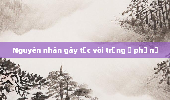 Nguyên nhân gây tắc vòi trứng ở phụ nữ