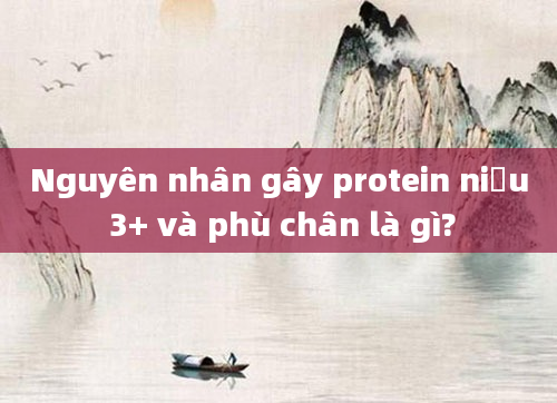 Nguyên nhân gây protein niệu 3+ và phù chân là gì?