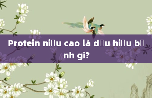 Protein niệu cao là dấu hiệu bệnh gì?