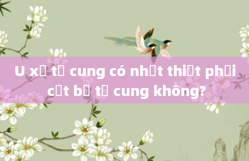 U xơ tử cung có nhất thiết phải cắt bỏ tử cung không?