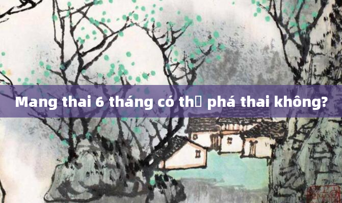 Mang thai 6 tháng có thể phá thai không?