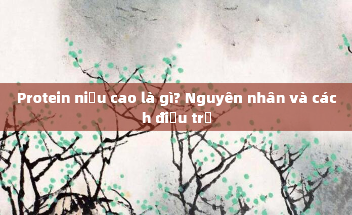 Protein niệu cao là gì? Nguyên nhân và cách điều trị