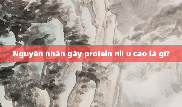 Nguyên nhân gây protein niệu cao là gì?