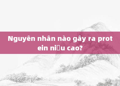 Nguyên nhân nào gây ra protein niệu cao?