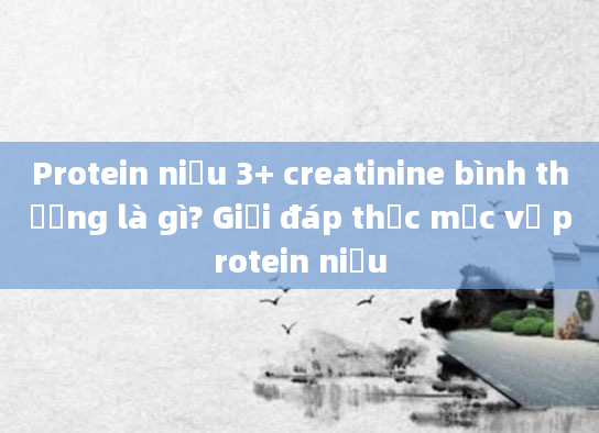 Protein niệu 3+ creatinine bình thường là gì? Giải đáp thắc mắc về protein niệu