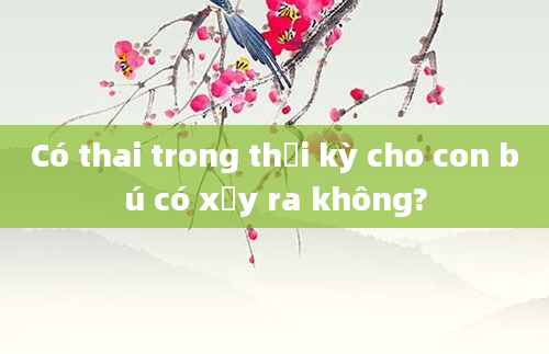 Có thai trong thời kỳ cho con bú có xảy ra không?
