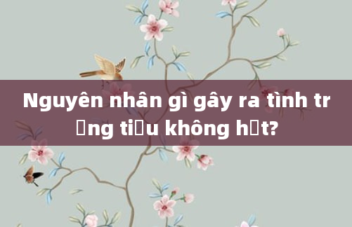 Nguyên nhân gì gây ra tình trạng tiểu không hết?