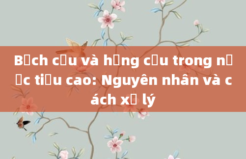 Bạch cầu và hồng cầu trong nước tiểu cao: Nguyên nhân và cách xử lý