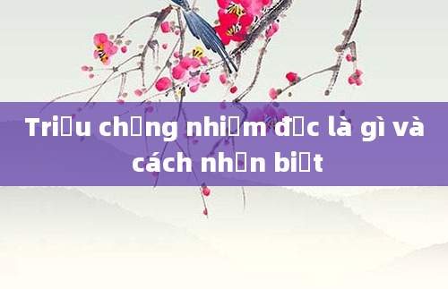 Triệu chứng nhiễm độc là gì và cách nhận biết