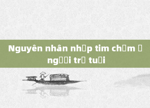 Nguyên nhân nhịp tim chậm ở người trẻ tuổi
