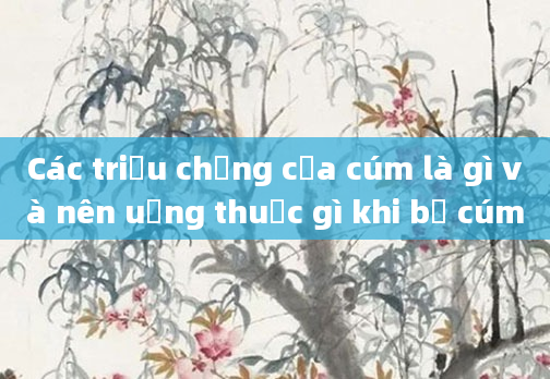 Các triệu chứng của cúm là gì và nên uống thuốc gì khi bị cúm