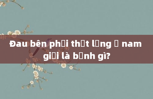 Đau bên phải thắt lưng ở nam giới là bệnh gì?