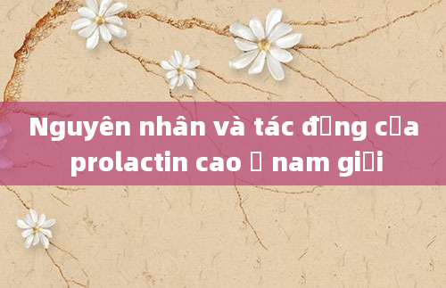 Nguyên nhân và tác động của prolactin cao ở nam giới