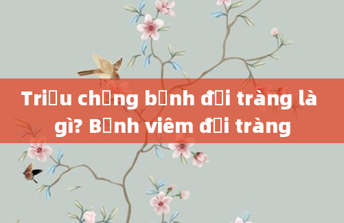 Triệu chứng bệnh đại tràng là gì? Bệnh viêm đại tràng