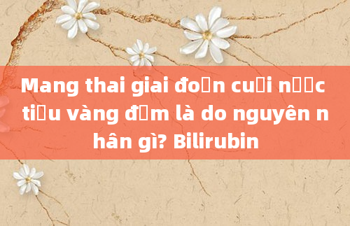 Mang thai giai đoạn cuối nước tiểu vàng đậm là do nguyên nhân gì? Bilirubin