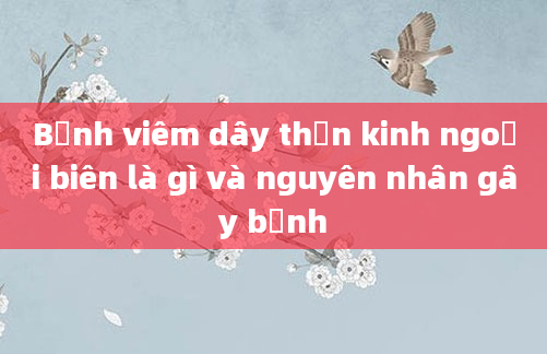 Bệnh viêm dây thần kinh ngoại biên là gì và nguyên nhân gây bệnh