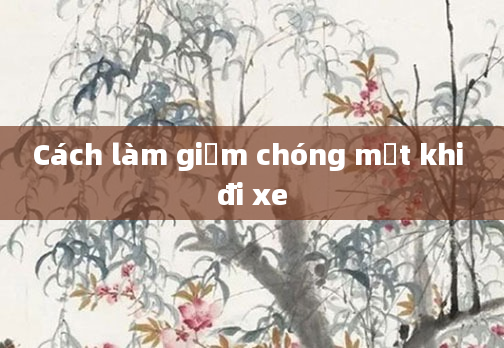 Cách làm giảm chóng mặt khi đi xe