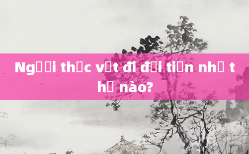 Người thực vật đi đại tiện như thế nào?