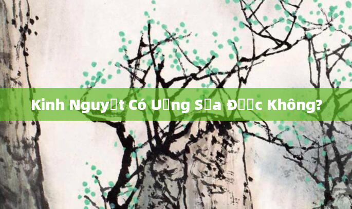 Kinh Nguyệt Có Uống Sữa Được Không?