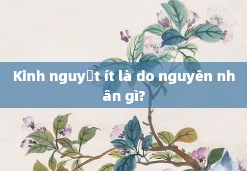 Kinh nguyệt ít là do nguyên nhân gì?
