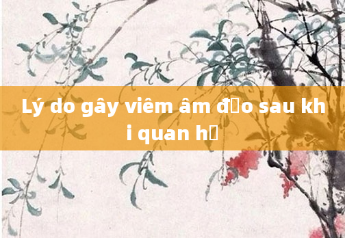 Lý do gây viêm âm đạo sau khi quan hệ