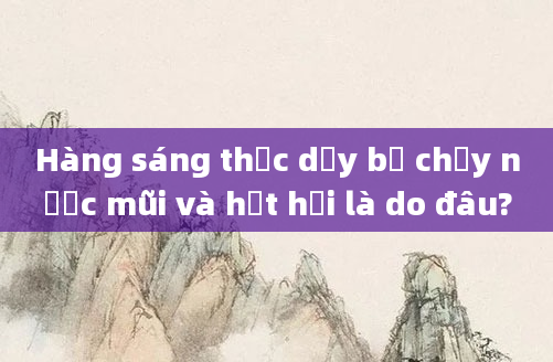 Hàng sáng thức dậy bị chảy nước mũi và hắt hơi là do đâu?