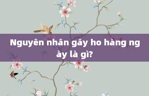 Nguyên nhân gây ho hàng ngày là gì?