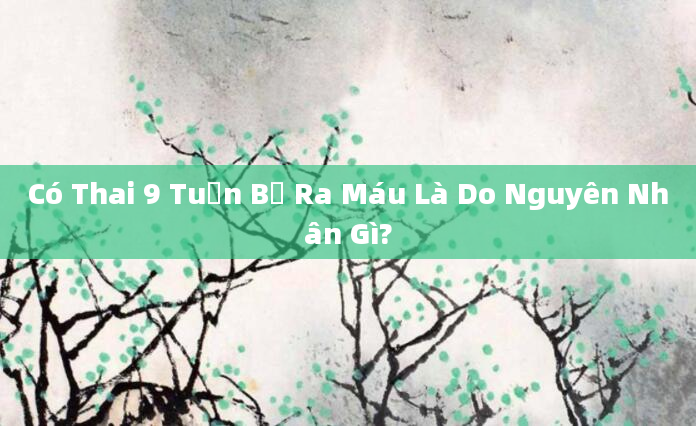 Có Thai 9 Tuần Bị Ra Máu Là Do Nguyên Nhân Gì?