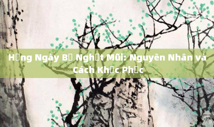 Hằng Ngày Bị Nghẹt Mũi: Nguyên Nhân và Cách Khắc Phục