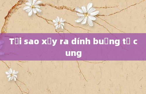 Tại sao xảy ra dính buồng tử cung