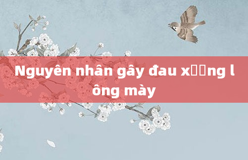 Nguyên nhân gây đau xương lông mày