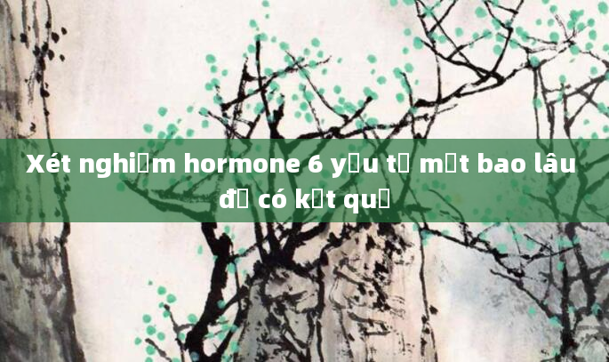 Xét nghiệm hormone 6 yếu tố mất bao lâu để có kết quả