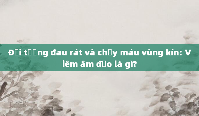 Đối tượng đau rát và chảy máu vùng kín: Viêm âm đạo là gì?