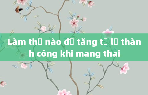 Làm thế nào để tăng tỷ lệ thành công khi mang thai