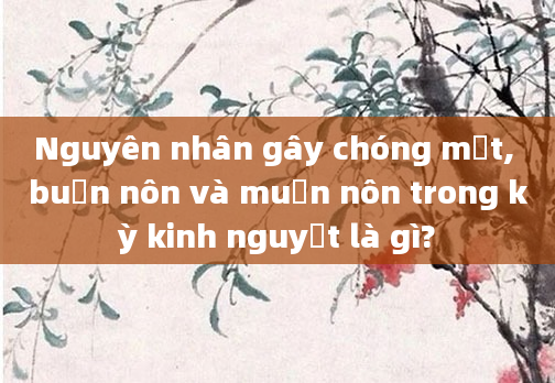 Nguyên nhân gây chóng mặt, buồn nôn và muốn nôn trong kỳ kinh nguyệt là gì?