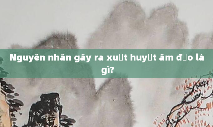 Nguyên nhân gây ra xuất huyết âm đạo là gì?