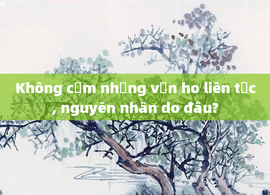 Không cảm nhưng vẫn ho liên tục, nguyên nhân do đâu?