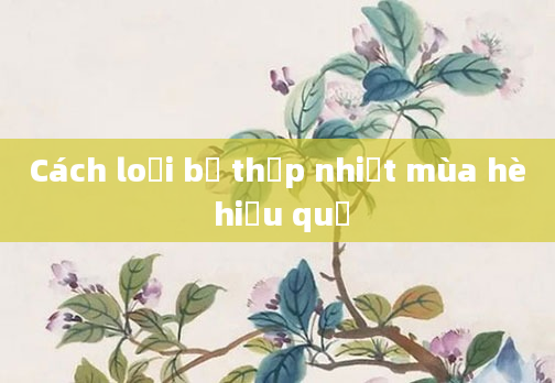 Cách loại bỏ thấp nhiệt mùa hè hiệu quả