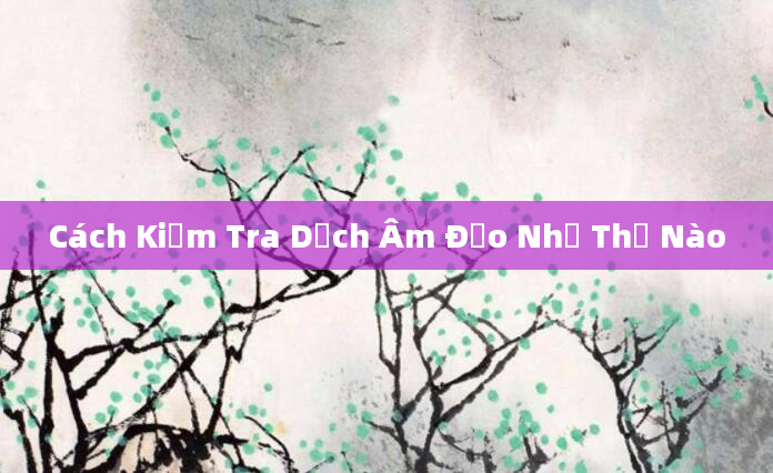 Cách Kiểm Tra Dịch Âm Đạo Như Thế Nào