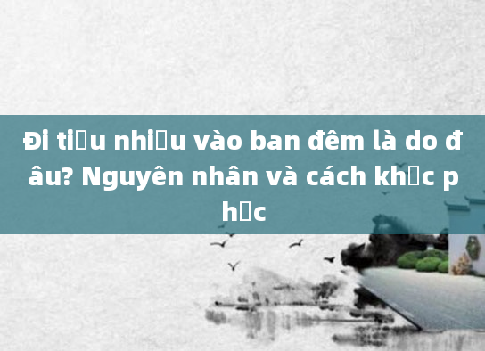 Đi tiểu nhiều vào ban đêm là do đâu? Nguyên nhân và cách khắc phục