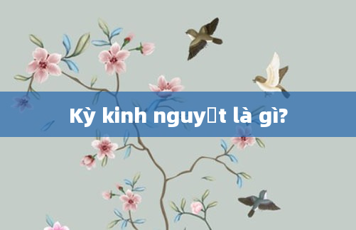 Kỳ kinh nguyệt là gì?