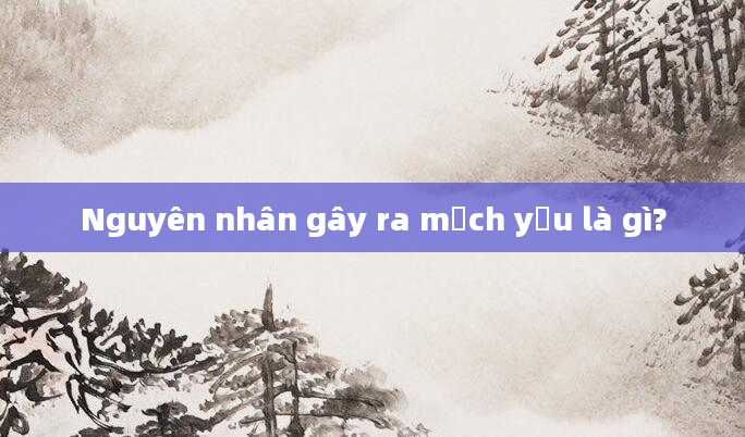 Nguyên nhân gây ra mạch yếu là gì?