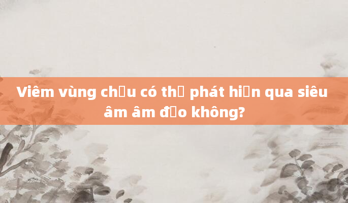 Viêm vùng chậu có thể phát hiện qua siêu âm âm đạo không?
