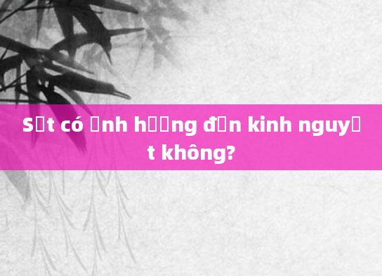 Sốt có ảnh hưởng đến kinh nguyệt không?