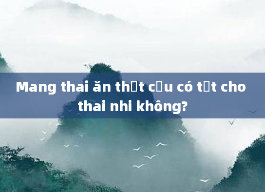 Mang thai ăn thịt cừu có tốt cho thai nhi không?