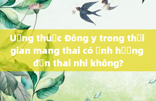 Uống thuốc Đông y trong thời gian mang thai có ảnh hưởng đến thai nhi không?