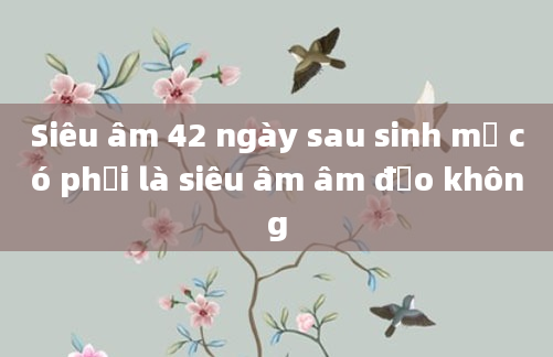 Siêu âm 42 ngày sau sinh mổ có phải là siêu âm âm đạo không