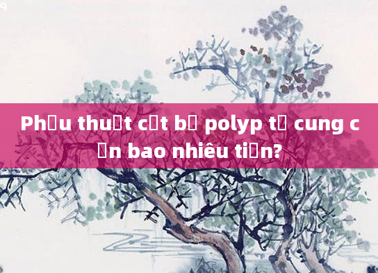 Phẫu thuật cắt bỏ polyp tử cung cần bao nhiêu tiền?